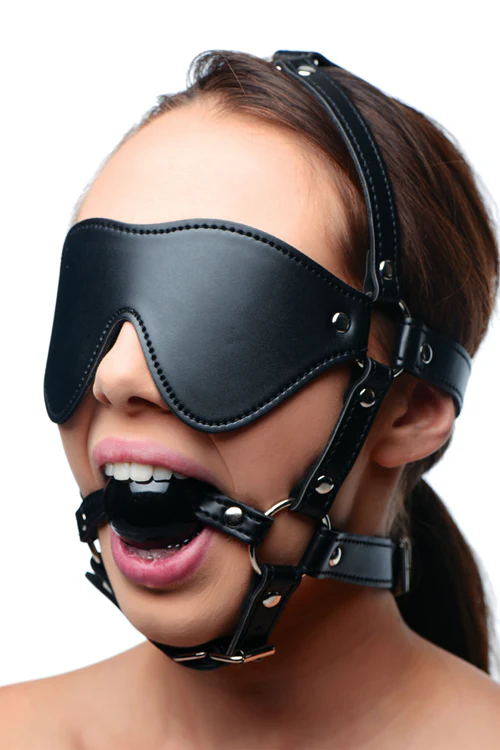 Blindfold Harness and Ball Gag (Black)