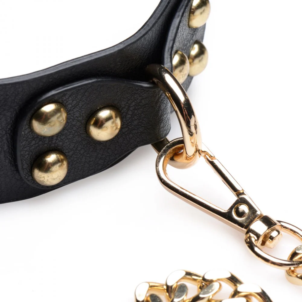 Gold Submission Bondage Kit - Image 8