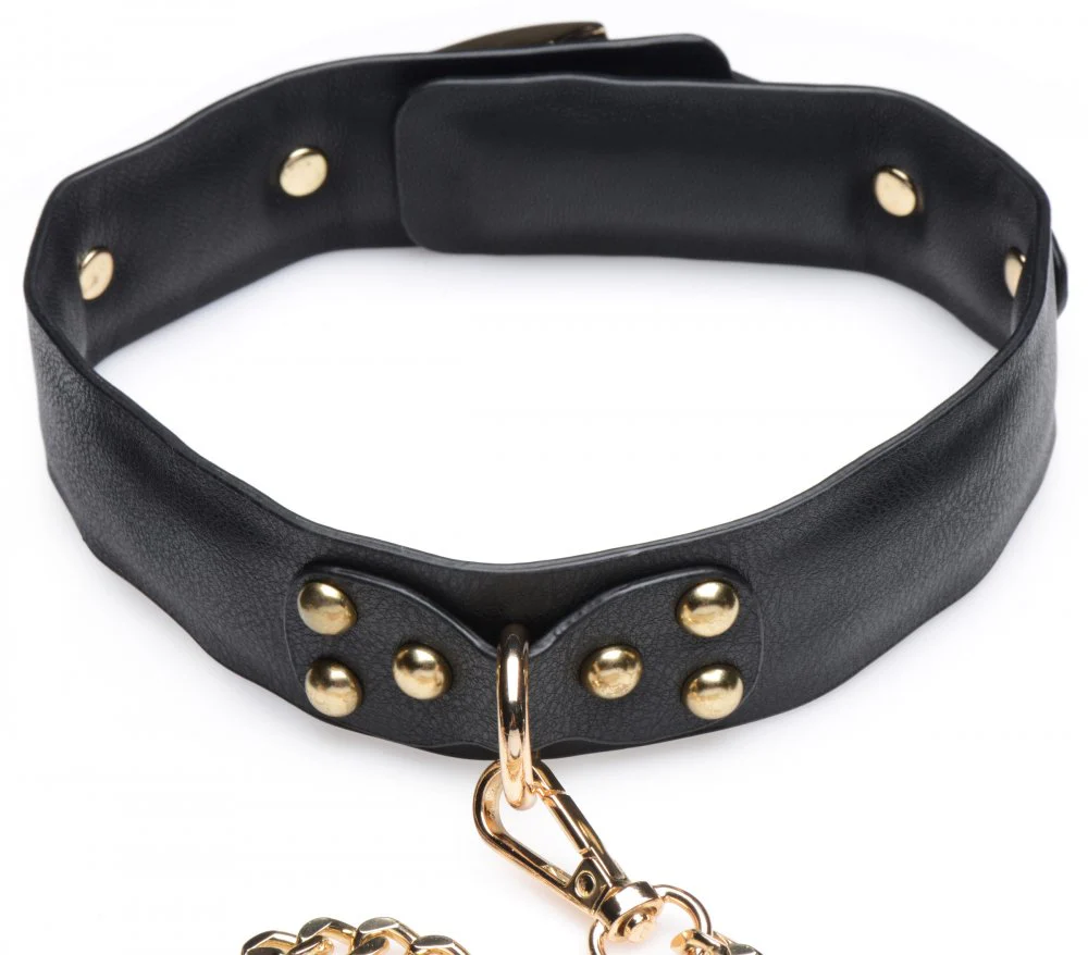 Gold Submission Bondage Kit - Image 9