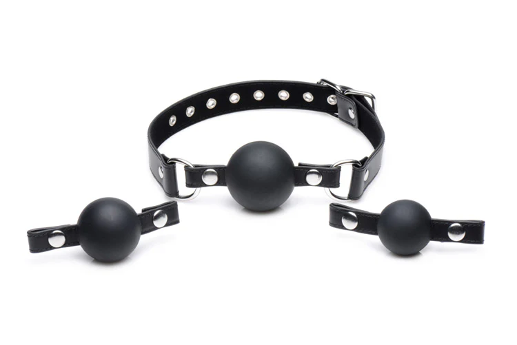 Interchangeable Silicone Ball Gag Set