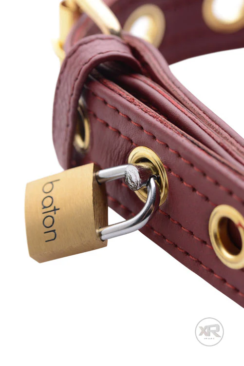 Luxury Burgundy Collar - Image 2